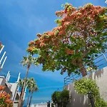 Hotel Olivos Costa Adeje (Tenerife)