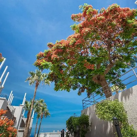 Hotel Olivos Costa Adeje (Tenerife)