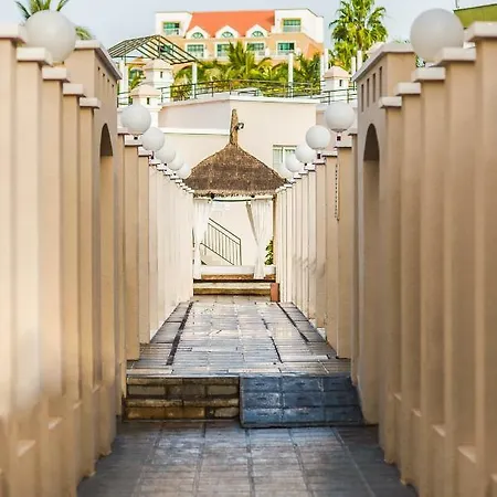 Olivos Costa Adeje (Tenerife)