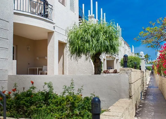 Olivos Costa Adeje (Tenerife)