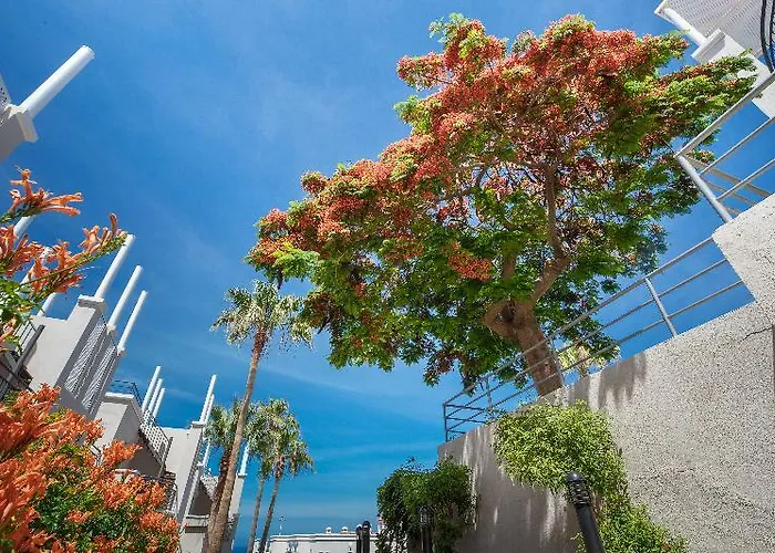 Hotell Olivos Costa Adeje (Tenerife)